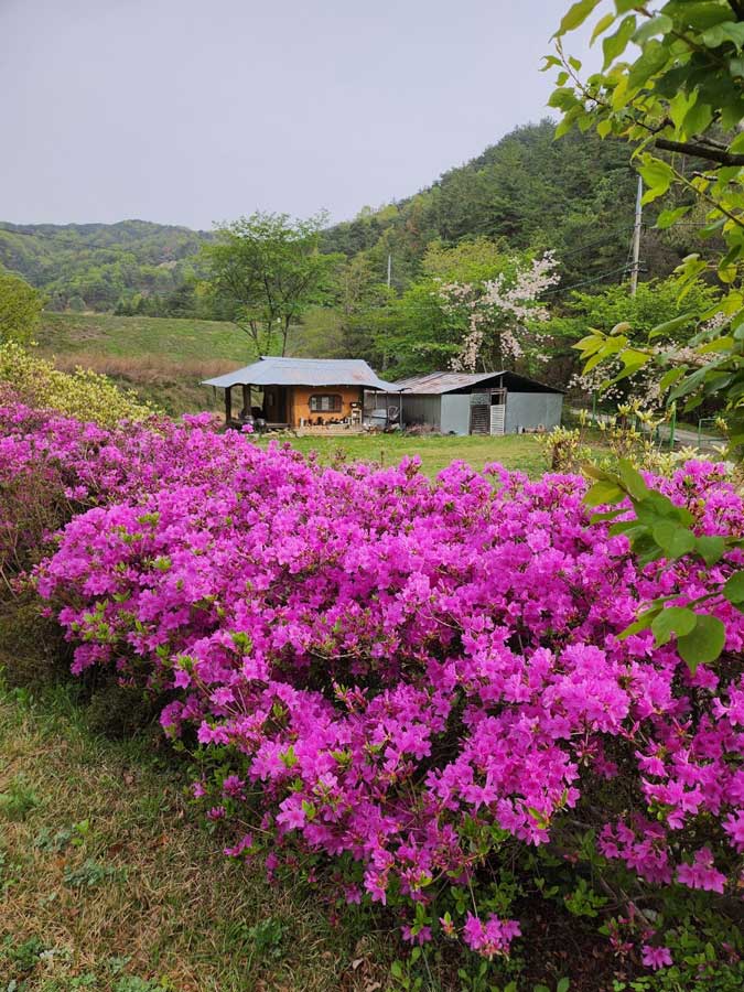 경북-성주-용암면-청정-전원주택-시골집-매매-3.jpg