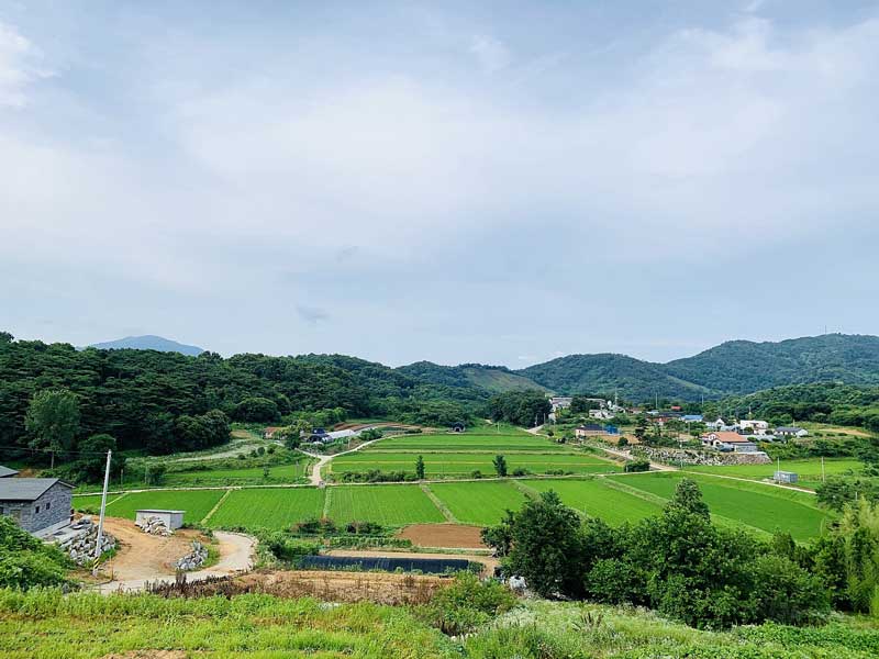 충남-홍성-구항면-고급-전원주택-급매물-매매-3.jpg