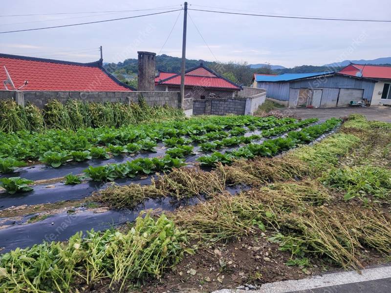 충남 홍성 광천읍 5천만원 시골집 싼 주택 매매 3.jpg