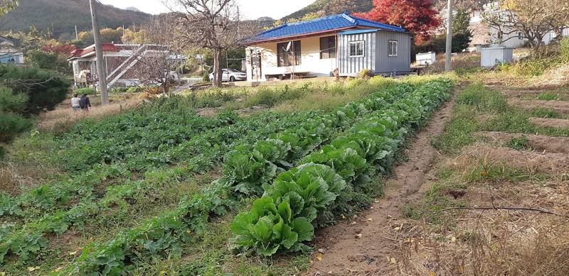 충남 예산 덕산면 미등기 주택 전원주택 매매 2.jpg