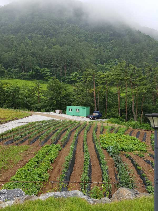 강원도-정선-화암면-공기좋은-시골집-전원주택-매매-3.jpg