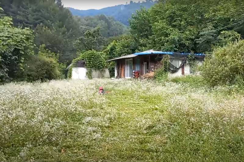 충북-제천-송학면-산속-지상권-시골집-촌집-매매-1.jpg