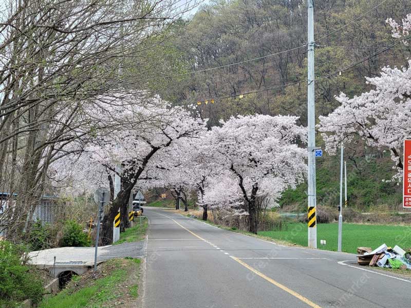 경북-경산-용성면-경치좋은-전원주택-부지-토지-매매-2.jpg