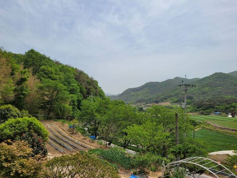 전남 곡성 죽곡면 따뜻 황토 시골집 월세 임대 매매 (3).jpg