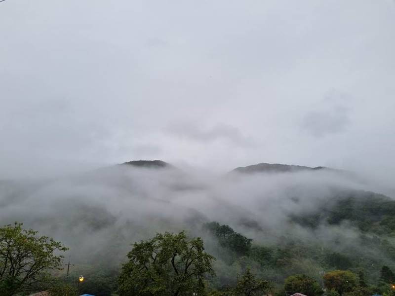 전남 곡성 죽곡면 상한리 개량 한옥 시골집 매매 (8).jpg