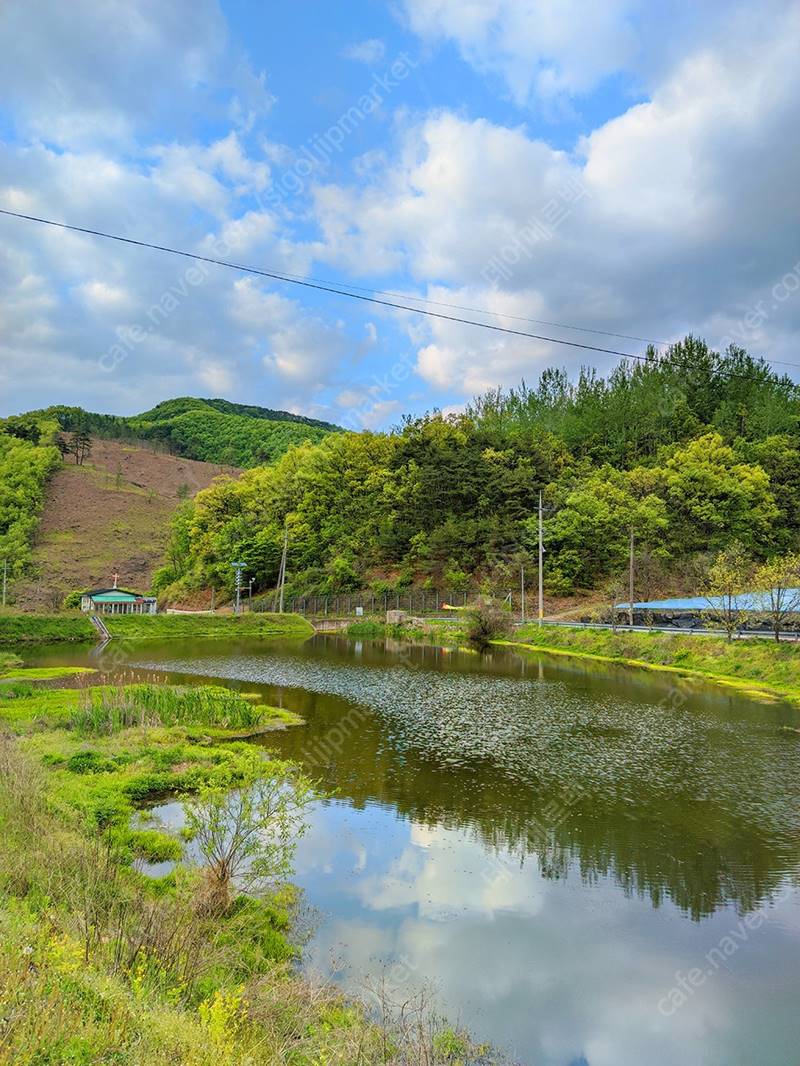 충북 영동 황간면 귀농 시골집 복숭아 과수원 매매 7.jpg