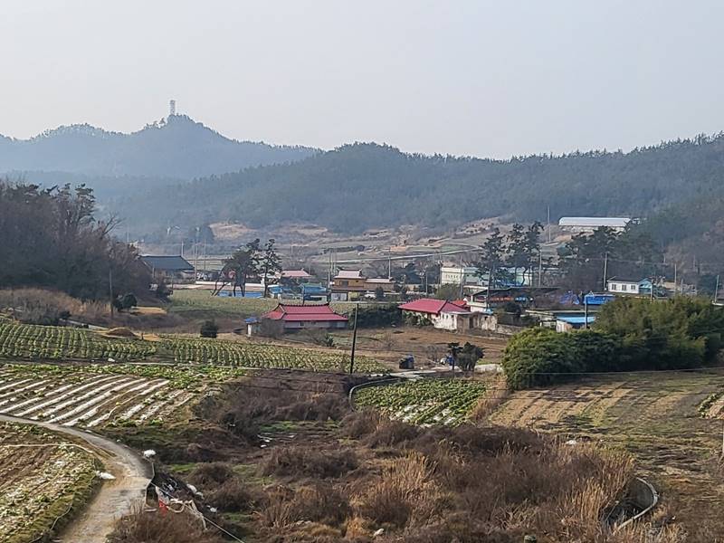 전남 진도 의신면 소형 시골집 농가주택 매매 3.jpeg