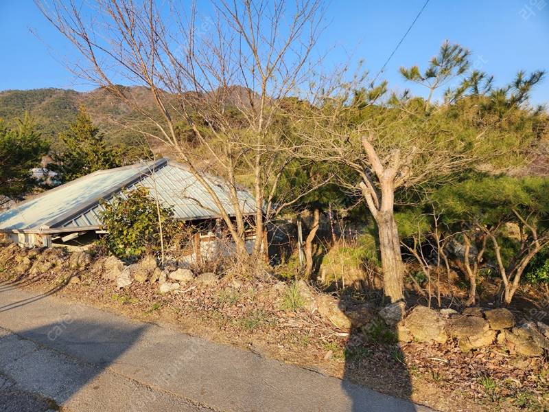 전북 고창 상금리 힐링 전원주택 세컨하우스 매매 7.jpg