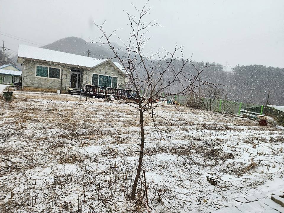 강원도 횡성 깔끔한 전원주택 단독주택 매매 (3).jpg